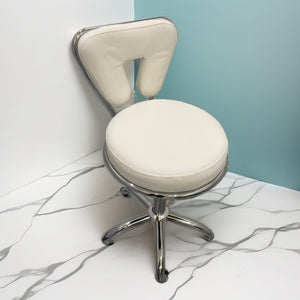 Adjustable Therapist Stool with Back Rest